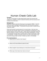 Investigating cells with a light microscope. Animal Cell Investigation The Human Cheek Cell Lab By Teachingwithfree