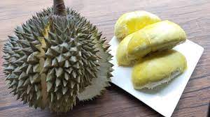 ทุเรียนหมอนทองบ้านสวนป้าอ้วน ปล่อยสุกเองธรรมชาติ ไม่ได้ป้ายน้ำยาช่วยสุก การดูสุกมันก็เลยเป็นสิ่งที่ต้องรู้ค่ะ มาดูวิธีการดูสุกกันนะคะ. à¸£ à¸§ à¸§ à¸— à¹€à¸£ à¸¢à¸™à¸ à¸²à¸™à¸¢à¸²à¸§ à¸Š à¸¡à¸žà¸£ à¸— à¹€à¸£ à¸¢à¸™à¹ƒà¸• Ivy Ying Sang Youtube