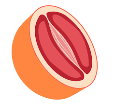 Presseinformationen VENUS Berlin - VENUS Berlin