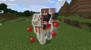 Horses, donkeys, mules and pigs. How To Tame Ride Control Llamas In Minecraft Youtube
