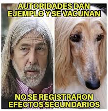 Covid 19 vacuna pfizer compuestos y efectos adversos. Meme News
