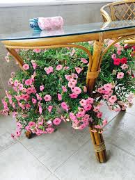 Esra Adli Kullanicinin Seyyahhanim Panosundaki Pin