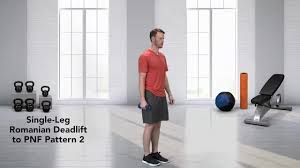 Dumbbell strength standards are based on the weight of each dumbbell. Single Leg Romanian Deadlift To Pnf Pattern 2 Myworkouts Io