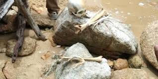 Tts taman nasional baluran level 36. Misteri Tengkorak Berambut Panjang Di Lokasi Kebakaran Hutan Baluran Halaman All Kompas Com