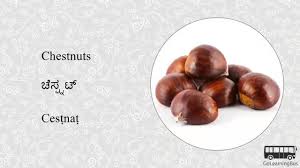 Free chunks and resources to learn english online. Learn Kannada Visual Dictionary Fruits And Nuts Via Videos By Golearningbus 3a Youtube