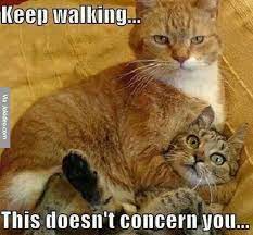 Pin On All Types Of Funny Pictures Funny Memes Funny Jokes