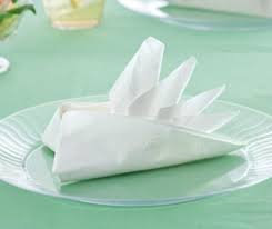 Bird Of Paradise Napkin Fold Meaning Bird Of Paradise Napkin Fold Chinet