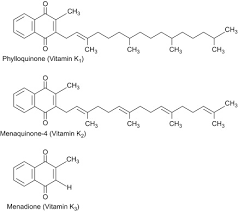 Тидного лиганда и других групп атомов). Intestinal Absorption Of Vitamin K Cellular And Molecular Mechanisms Sciencedirect
