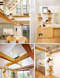 Birbirinden Guzel 21 Kedi Merdiveni House Ev Icin Hayvan Odasi
