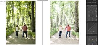 Before After Light Airy Images Using Mastin Labs Melanie Bess Editor Educator Mastin Labs Image Landscape Painting Lesson