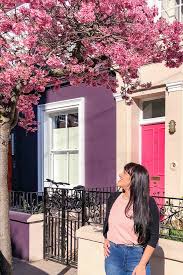 We did not find results for: Where To See Cherry Blossoms Around The World