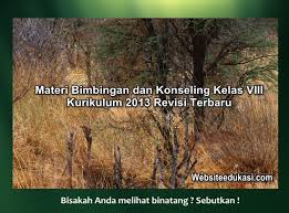 Buku bimbingan konseling smp kelas 8 ktsp 2006 erlangga. Materi Bk Kelas 8 Kurikulum 2013 Revisi 2019 2020 Websiteedukasi Com