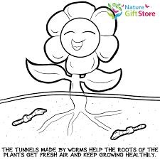 Rate coloring sheet 0 stars. Earthworms Coloring Page 9 Nature Gift Store
