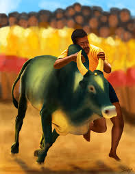 pongal jallikattu clipart pongal jallikattu kaalai png clipart email