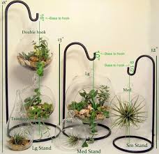 This Item Is Unavailable Hanging Glass Terrarium Terrarium Stand Glass Terrarium