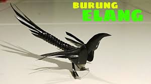 Check spelling or type a new query. Cara Membuat Burung Elang Dari Sedotan Youtube