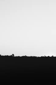 Maybe you would like to learn more about one of these? Siluet Rumput Di Bawah Langit Putih Foto Stok Gratis