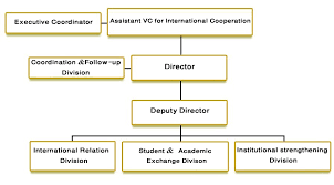 International Cooperation Home Organization Chart