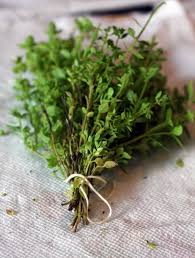 Thyme Used In Spells And Charms To Attract Loyalty Affection And The Good Opinion Of Others Burn As An Incense Or Use In Char Planting Herbs Drying Herbs Herbs