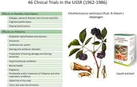 Image result for Eleutherococcus