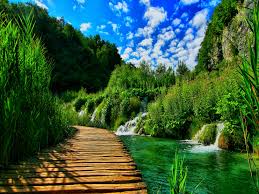 Maybe you would like to learn more about one of these? Hd Nature Wallpapers Top Free Hd Nature Backgrounds Wallpaperaccess Desktop Background Nature Nature Wallpaper Hd Nature Wallpapers