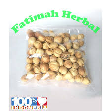Cari tahu tentang manfaat kapulaga bagi kesehatan di sini! Kapulaga Jawa Cardamom Javanica 50 Gram Shopee Indonesia