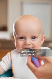 25,983 The Life Of Lee Stock Photos, High-Res Pictures, and Images