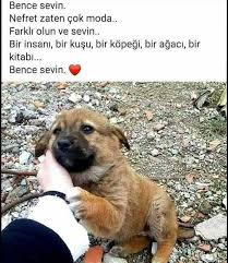 543 Begenme 6 Yorum Instagram Da Feslegen Sokagi Sakinleri Feslegen Sokagi Siir Edebiyat Kitap Okudumbitti Canyucel Cemal 2020 Hayvanlar Resimler Galeri