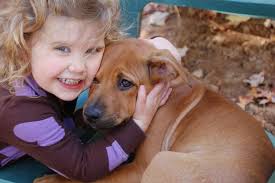 Candice Bay-Jenness: Just Heart's Gift