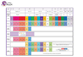 40 Correct Reading Levels Chart For Books