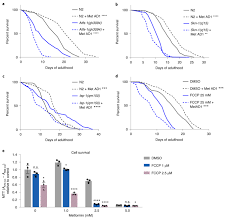 We detect that your browser is currently in private mode. Loss Of Metabolic Plasticity Underlies Metformin Toxicity In Aged Caenorhabditis Elegans Nature Metabolism