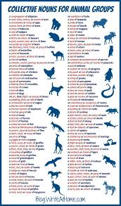 Improved Animal Groups Poster Collective Nouns Learn English English Writing Skills