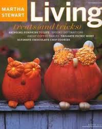 Martha stewart living 10 oz golden pearl metallic paint 4. 120 Martha Stewart Living Mag Ideas Martha Stewart Living Martha Stewart Martha