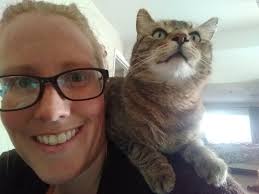 Missing grey cat in Northpoint area?