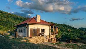 Top 10 Pensiuni De Poveste Din Romania La PreÈ› Corect Sub 130 De Lei Pe Noapte Camera