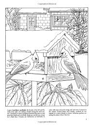 Backyard Nature Coloring Book Dover Nature Coloring Book Dot Barlowe 9780486405605 Amazon Com Books Coloring Books Dover Books
