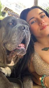 Aggressive wild animal behavior