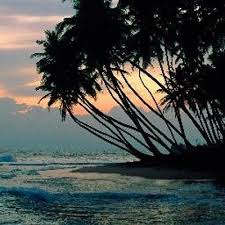 Ada banyak sekali gambar pemandangan indah yang menakjubkan dari berbagai tema, misalnya pantai, lautan, pegunungan dan sebagainya. Gambar Pemandangan Alam Real