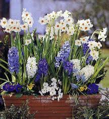 Fabriquez deux jardinières en palette pour 22 euros. Une Jardiniere De Printemps Le Jardin De Jerem