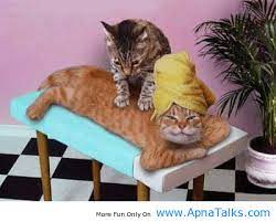 Pin On Www Apnatalks Com