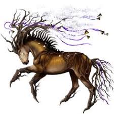 25 Best Howrse Images Images Horse Drawings Fantasy