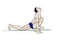 We did not find results for: 12 Surya Namaskar Steps With Images Surya Namaskar Benefits Dabur