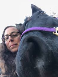 Lucy Rees Wild Horses in Spain