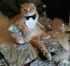 Image result for thug life cats