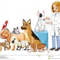 Happy pet vet clinic offers wellness, management and health related pet care services for your cats, dogs and other companion animals. Happy Pets Veterinary Home Facebook