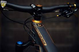 Pivot Switchblade 29 Goldedition Watzup Oberhausen Mountainbike Shop In 2020 Mountainbike Shop Mountainbike Gute Fahrt