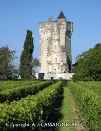 86 Donjon De Curcay Sur Dive Fontenay Le Comte Donjon Le Manoir