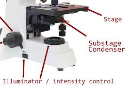 This is because, strictly speaking, the condenser should receive parallel illumination and thus bring this light to a focus at the back focal plane of the condenser (where the specimen is situated). What Is A Microscope Condenser And What Is It Used For