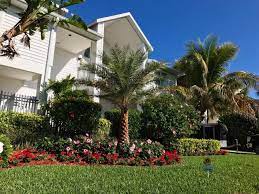 Petersburg, fland the surrounding areas for over 85 years. Natural Green Lawn Spraying Organic Lawn Care Near Me St Pete Fl