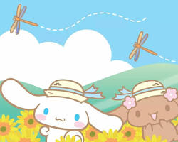 Cinnamoroll in a flower field wallpaper